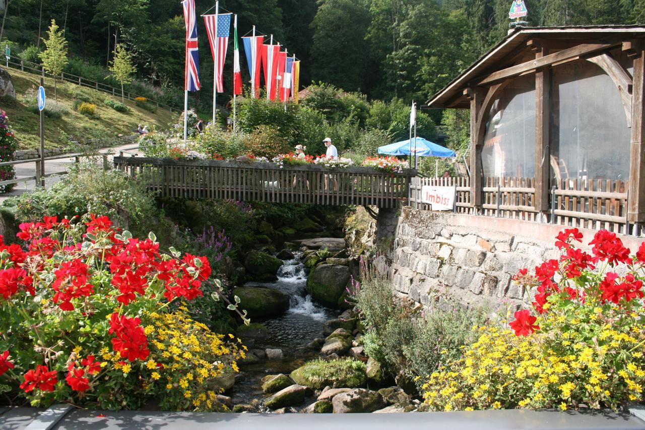 Gaestehaus Zur Lilie Hotel Triberg im Schwarzwald Exterior photo